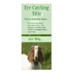 Goats Business Advert Rack Cards