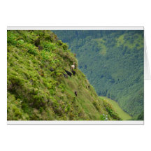 Goats on a very steep hillside card