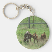 Goats On The Feild - Keychian Keychains