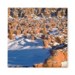 Goblin Valley, Utah Refrigerator Magnet