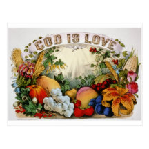 God is Love Postcard