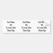 God Wants Me To Look After These Pigs Bumper Stickers