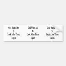 God Wants Me To Look After These Tigers Bumper Sticker