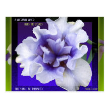 Godly Woman postcard