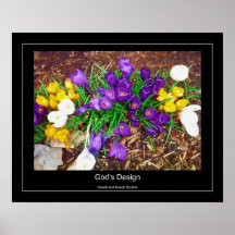God's Creation Poster