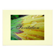 Gods Gold Personalized Announcements