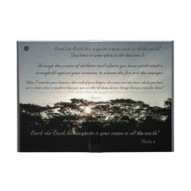 God's goodness ipad mini case