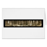 Gods Handiwork Redwood Photo 1912 Card