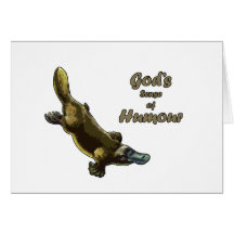 God's joke greeting card