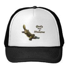 God's joke mesh hats