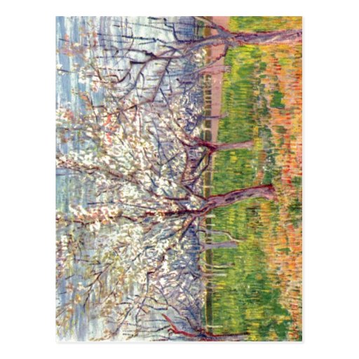 Gogh, Vincent van Bl?hender Obstgarten 1888 Techni Post Card