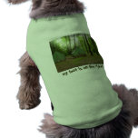 Going Camping 2010 pet clothing