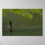 Going Fishing Posters