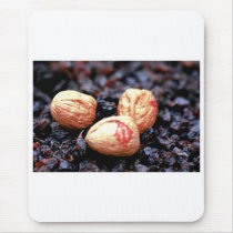 Going Nuts Mouse Mat