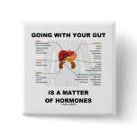 Going With Your Gut Is A Matter Of Hormones