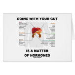 Going With Your Gut Is A Matter Of Hormones
