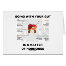 Going With Your Gut Is A Matter Of Hormones