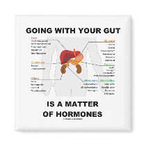 Going With Your Gut Is A Matter Of Hormones