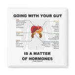 Going With Your Gut Is A Matter Of Hormones magnets