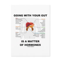 Going With Your Gut Is A Matter Of Hormones