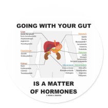 Going With Your Gut Is A Matter Of Hormones