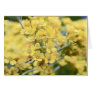 Gold Alyssum - Perennial Cards
