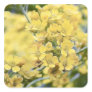 Gold Alyssum - Perennial Square Sticker