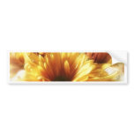 Gold and Brown Chrysanthemums 1 Bumper Stickers