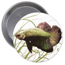 Gold Betta Siamese Fighting Fish buttons
