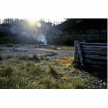 Gold Bluffs Beach Camp - Redwood National Park Photo Cut Out