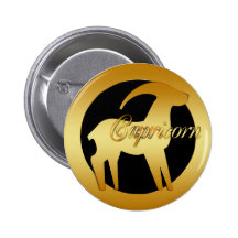GOLD CAPRICORN ZODIAC SIGN PINS