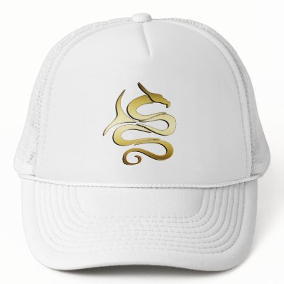 GOLD DRAGON TRUCKER HAT by dgpaulart