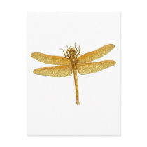 Gold Dragonfly Postcard