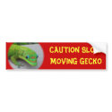 Gold Dust Day Gecko – Audition and Get Some Gecko bumper stickers