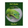 Gold Dust Day Gecko – Audition and Get Some Gecko Postcard