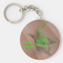 Gold Dust Day Gecko Keychains