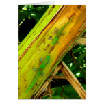 Gold Dust Geckos Card