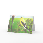 Gold Finch Blank Note Card
