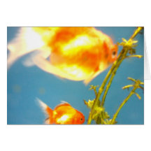Gold Fish! Greeting Cards