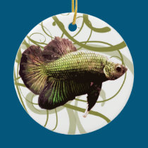 Gold Half-moon Betta Siamese Fighting Fish ornaments
