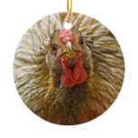 Gold-Laced Wyandotte Chicken Christmas Ornaments