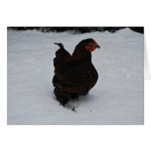 Gold laced Wyandotte trekking through Snow! Card