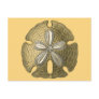 Gold Sand Dollar Postcards