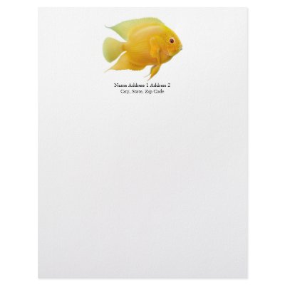 Gold Severum Cichlid Letterhead by twopurringcats