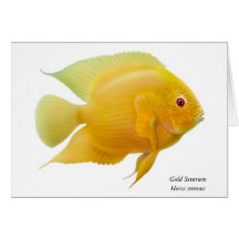 Gold Severum Fish Greeting Card