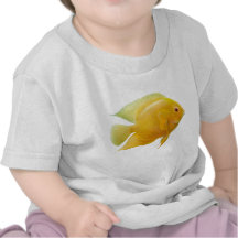 Gold Severum Fish Infant T-Shirt