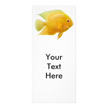 Gold Severum Rack Card