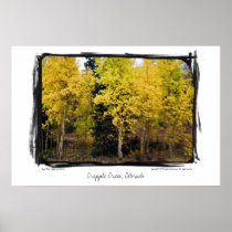 Golden Aspen, Cripple Creek, Colorado Poster