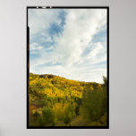 Golden Aspen, Cripple Creek, Colorado Poster