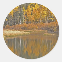 Golden Aspens Reflecting in Beaver Pond Round Sticker